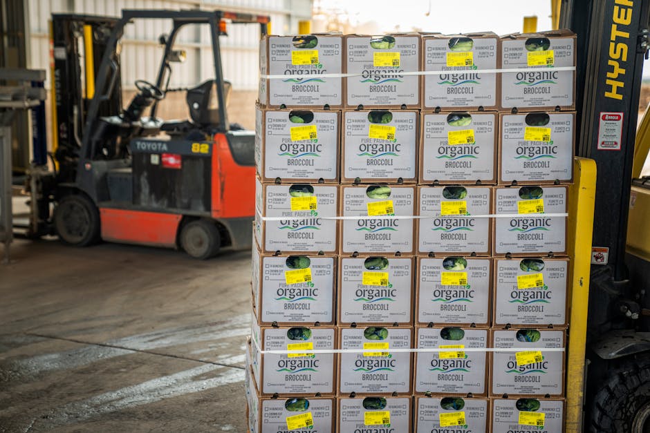 Forklift managing stacks of organic broccoli boxes for shipment in a warehouse setting.